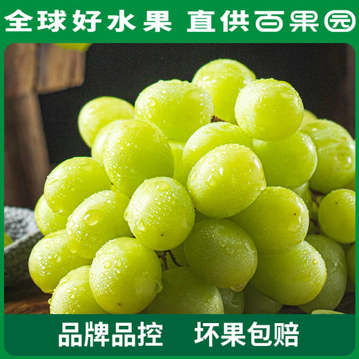 PAGODA百果园 B级-进口无核青提（秋天脆）2斤家庭装 商品图2