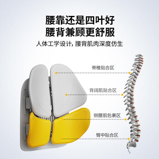 诺泰人体工学靠垫办公室护腰靠背垫护腰椅子靠垫久坐腰垫座椅腰靠 商品图7