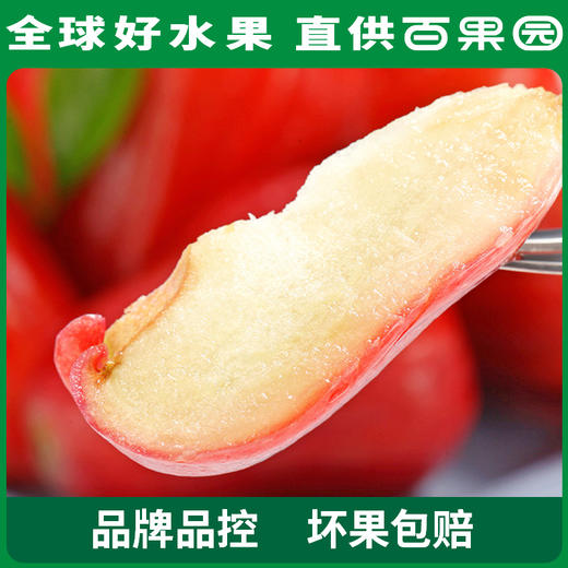 PAGODA百果园 A级-黑金刚莲雾（大）3斤装 商品图3