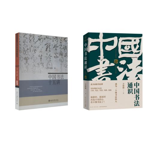 中国书法十五讲+中国书法通识 商品图0