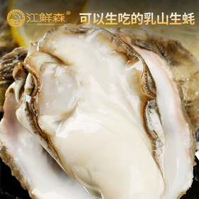 【分仓直发包邮】江鲜森·蚝礼258型16只装（3XL）