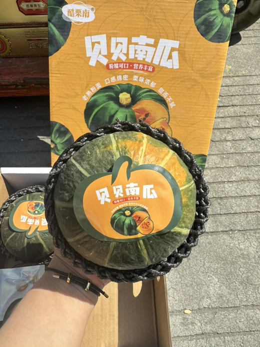 原种日本 惠和贝贝南瓜超大果 商品图2
