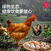 云巅土鸡蛋（快递） 商品缩略图1
