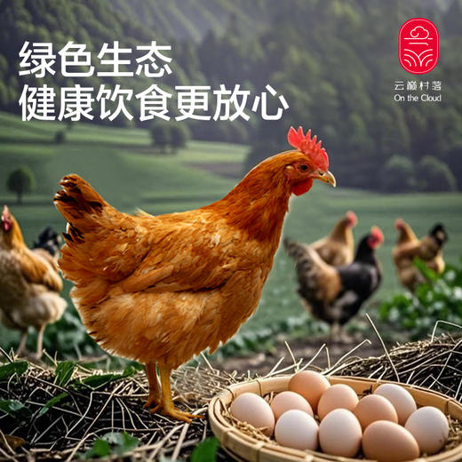 云巅土鸡蛋（快递） 商品图1