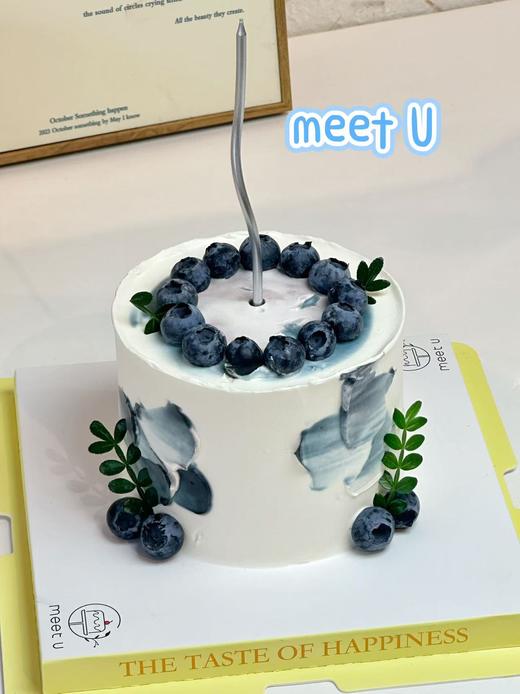 蓝莓森林152 商品图0