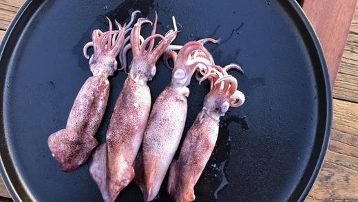 【京东包邮】450g*4盘79笔管鱼鲜活冷冻保留原浆原色零冰衣鲜度和肉质的韧劲基地直邮 商品图6