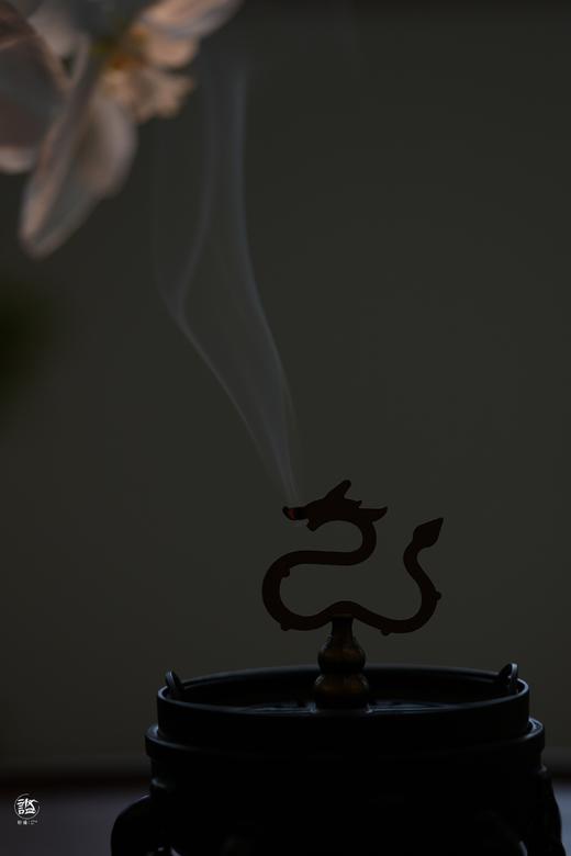 奇楠红土游龙沉香 商品图5