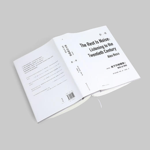 余下只有噪音：聆听20世纪 商品图8