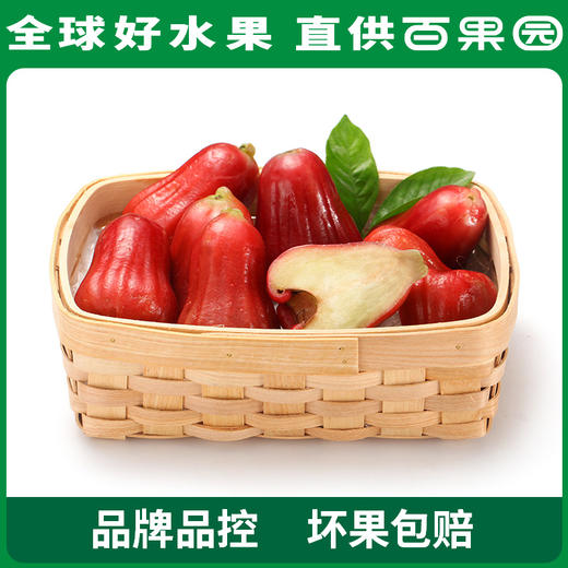 PAGODA百果园 A级-黑金刚莲雾（大）3斤装 商品图1