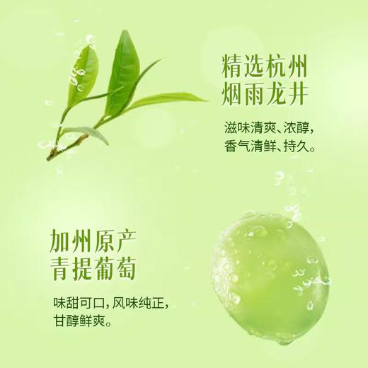 【秒杀】金汇源泉龙井气泡茶280ml*6瓶 商品图1