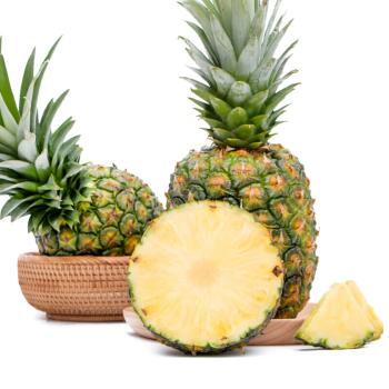 京鲜生 海南金钻凤梨 中果4个装 单果约600g以上 生鲜水果 商品图0