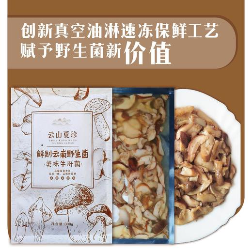 云山夏珍 鲜制云南野生美味牛肝菌 商品图2