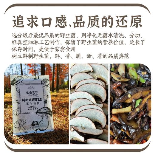 云山夏珍 鲜制云南野生黑牛肝菌 商品图3