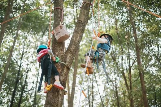 12.20/1.3下午场，凤凰山【周末攀树半日营】岩点，云梯攀树，寻找向上的生命力，开启户外挑战第一课！169元/儿童，家长可陪同（不参与活动），自行前往 商品图1