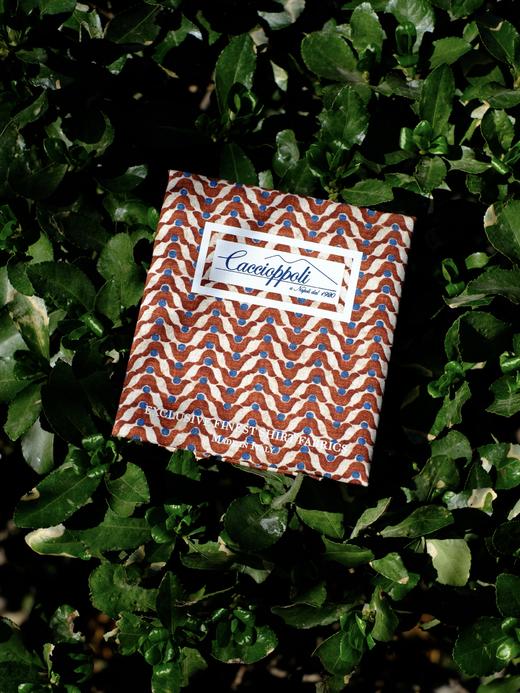 「爱好者直选30款」Caccioppoli 70支法国亚麻印花意式工艺衬衫 商品图1