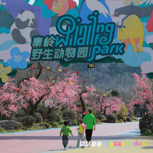 【袋鼠爸爸去哪儿丨西安地建南山温泉酒店秦岭野生动物园店】位于秦岭山脚下，距离沣峪口10分钟，2024年重装开业，占地约百亩，酒店内设有国标级50米恒温游泳馆和24个户外温泉，一站式遛娃 商品图14