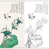 俞致贞花鸟工笔画白描底稿《繁英密蕊》临摹勾线高清打印稿ZZ72 商品缩略图0