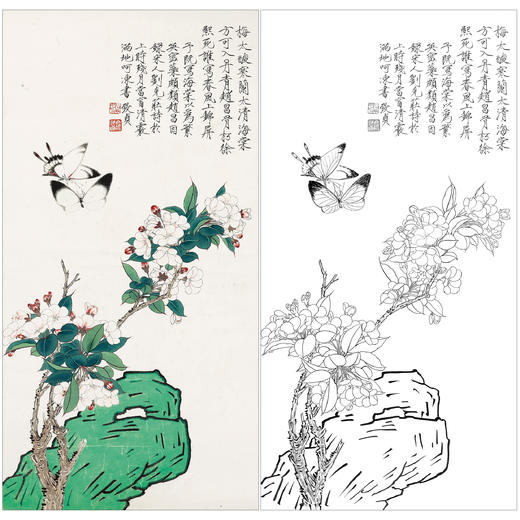 俞致贞花鸟工笔画白描底稿《繁英密蕊》临摹勾线高清打印稿ZZ72 商品图0
