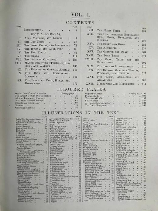 约20世纪早期 世界现存动物自然史（全2卷合订本） 1210幅插图 真皮精装16开 商品图4