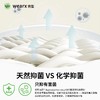 【10双装】完型雪糕袜/糖果袜情侣款短袜多色柔软舒适可爱薄款短袜 商品缩略图8