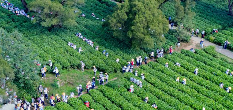 国庆英德2日亲子营