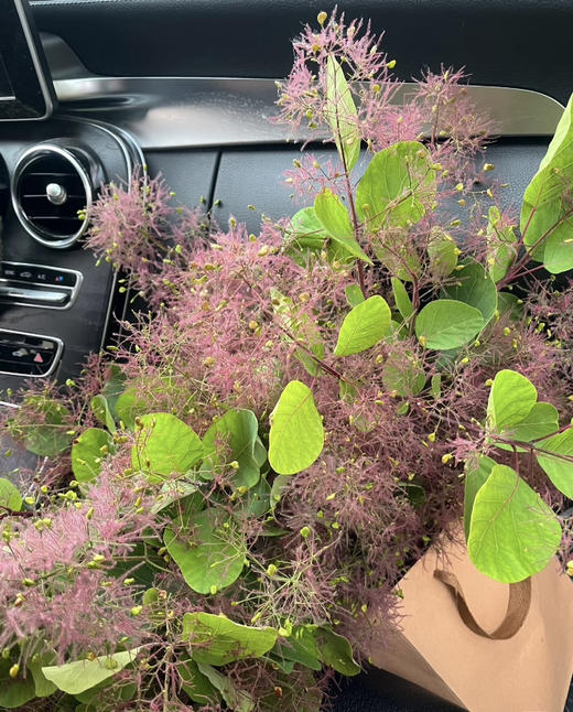 【妳是我的】雾中情人 粉色 若干枝/扎 商品图1