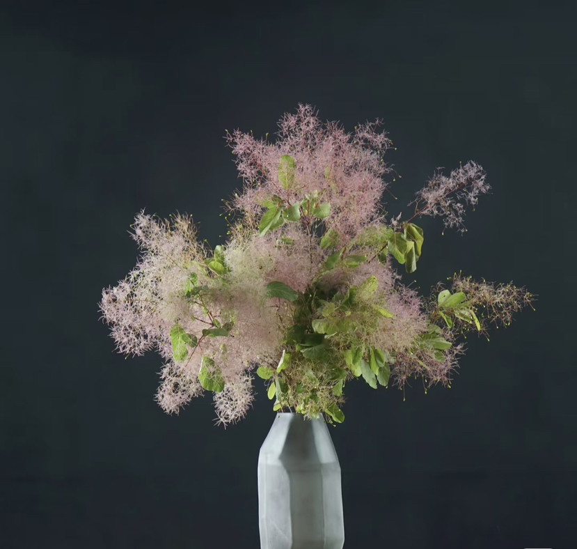 【妳是我的】雾中情人 粉色 若干枝/扎