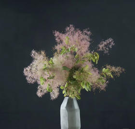 【妳是我的】雾中情人 粉色 若干枝/扎