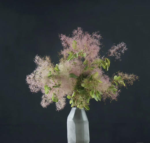 【妳是我的】雾中情人 粉色 若干枝/扎 商品图0