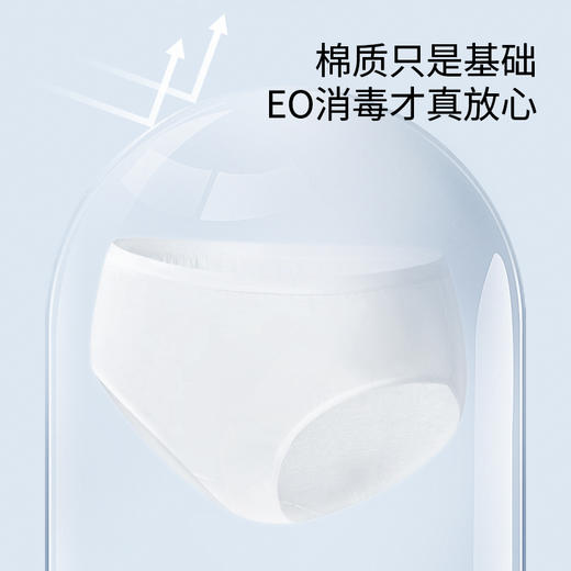 一次性内裤棉质出差旅行日抛内裤洁净独立包装女内裤WS20806 商品图2