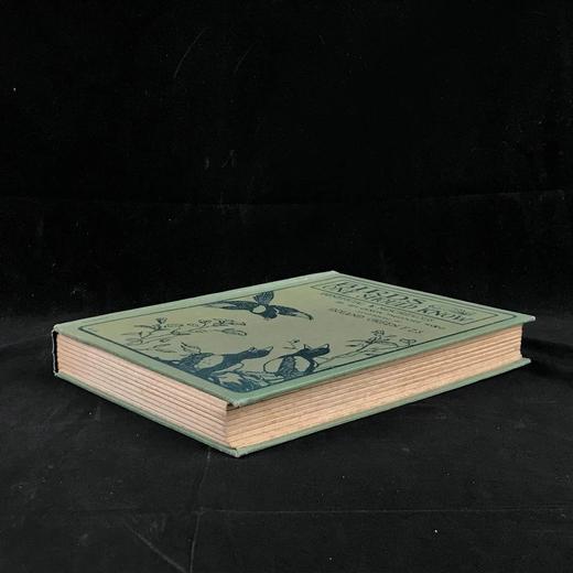 1925年 常见鸟类图集 8幅彩色手工贴图与大量黑白插图 布面精装16开 商品图1