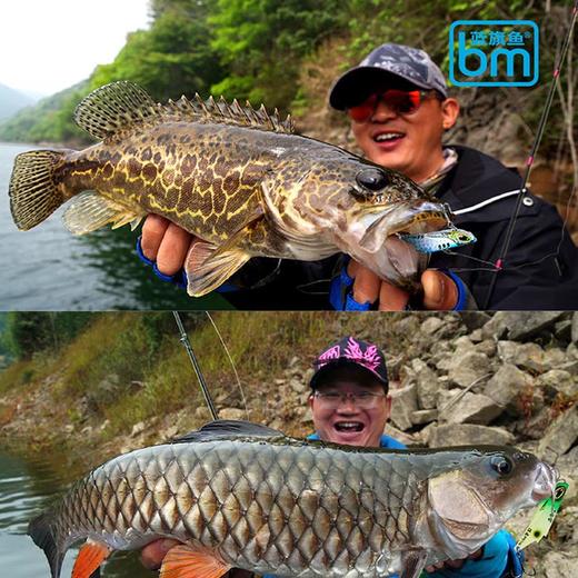 蓝旗鱼新品摸鱼VIB 3枚装 商品图3