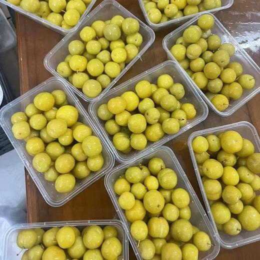 爽脆李子酸450g 商品图1