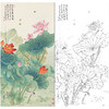 俞致贞花鸟工笔画白描底稿《荷韵清风》荷花临摹勾线高清打印稿ZZ65 商品缩略图0