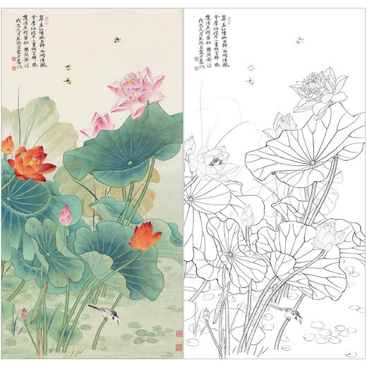 俞致贞花鸟工笔画白描底稿《荷韵清风》荷花临摹勾线高清打印稿ZZ65 商品图0
