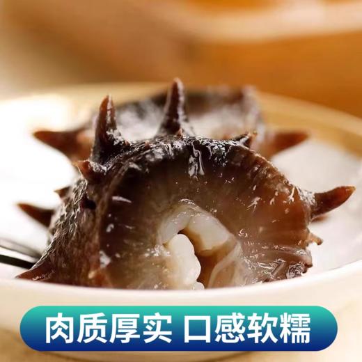 山东烟台鲜食海参 原生态 零添加 原汁原味 500g/袋（6头/10头） 商品图8
