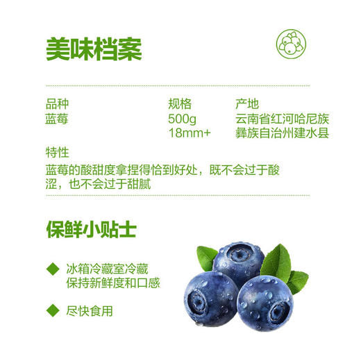 MM 山姆 云南大颗蓝莓 500g（平均单果果径18mm+） 商品图1