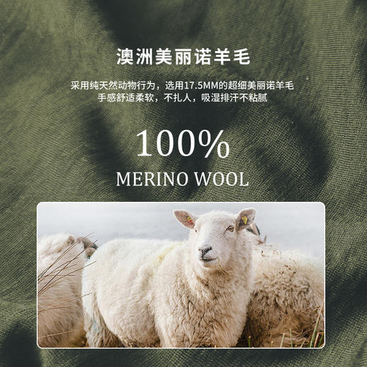 灰壳女款美利奴羊毛速干衣160gsm美丽诺徒步登山内衣网眼拼接长袖 商品图1