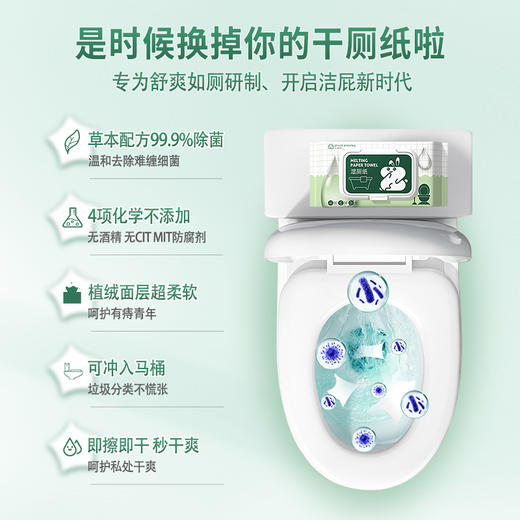 湿厕纸家庭实惠装洁厕湿巾擦屁屁男女可用WS20805 商品图1