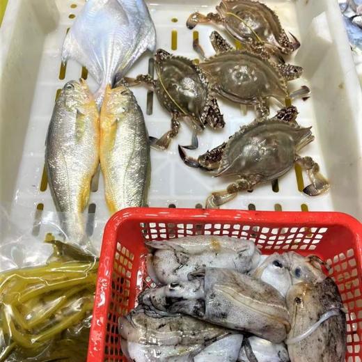 舟山港口小活膏蟹套餐（小红膏蟹1斤大条黄鱼2条中大鲳鱼1条本地目鱼1斤）送雪菜 商品图0