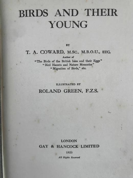 1923年 幼年鸟类图集 12幅彩色手工贴图与大量黑白插图 布面精装16开 商品图3