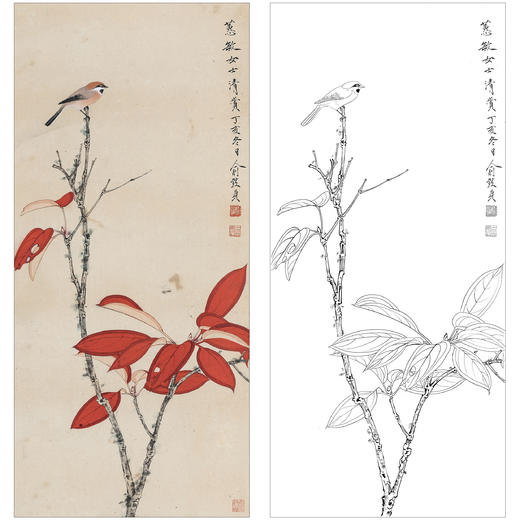 俞致贞花鸟工笔画白描底稿《红叶珍禽》临摹勾线高清打印稿ZZ70 商品图0
