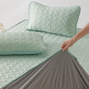 顶柔青艾软软艾草生物基透感软席三件套（床笠款）-LX7075 商品缩略图4