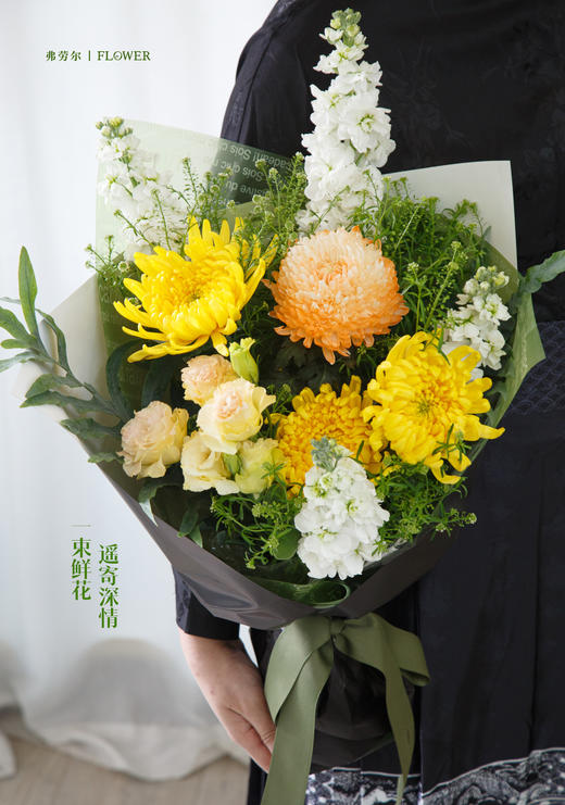 春山长念 商品图1