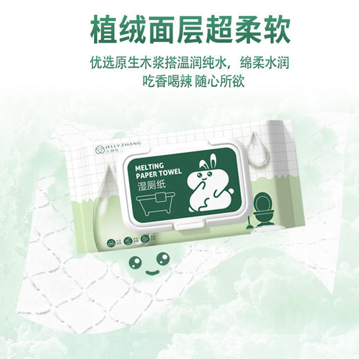 湿厕纸家庭实惠装洁厕湿巾擦屁屁男女可用WS20805 商品图2