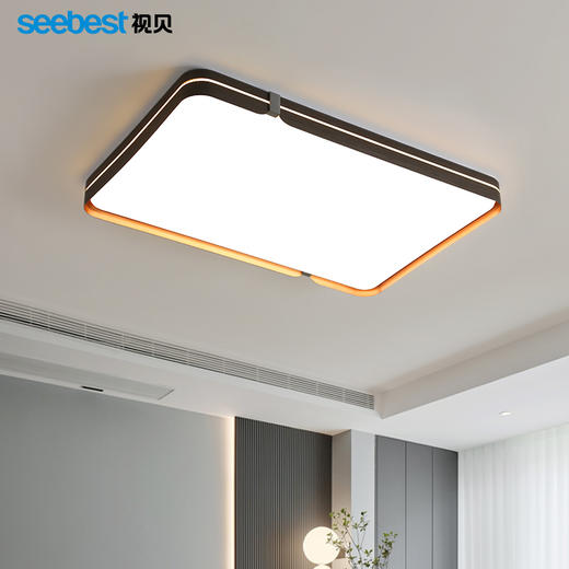 桐华系列-客卧灯(智能离线语音控制)（部分停产） 商品图1