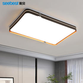 桐华系列-客卧灯(智能离线语音控制)（部分停产）