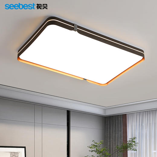 桐华系列-客卧灯(智能离线语音控制)（部分停产） 商品图0