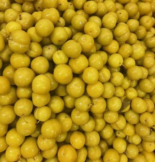 爽脆李子酸450g 商品图2