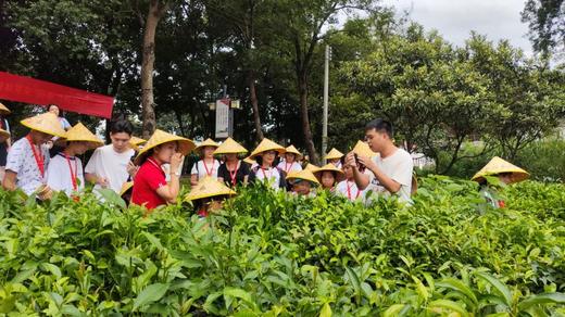 国庆英德2日亲子营 商品图1